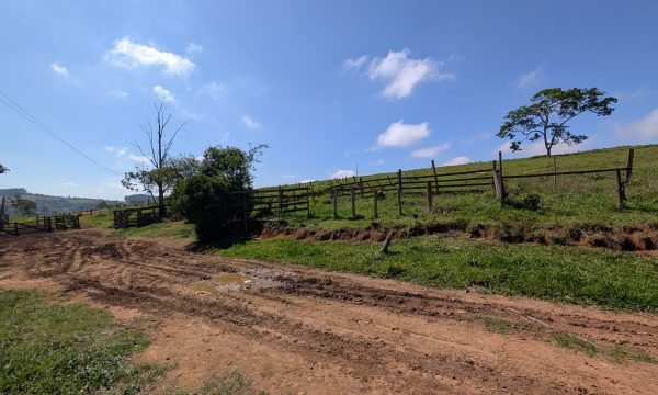 PXL_20261008_121027567.MP