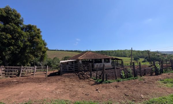 PXL_20261008_121224808.MP