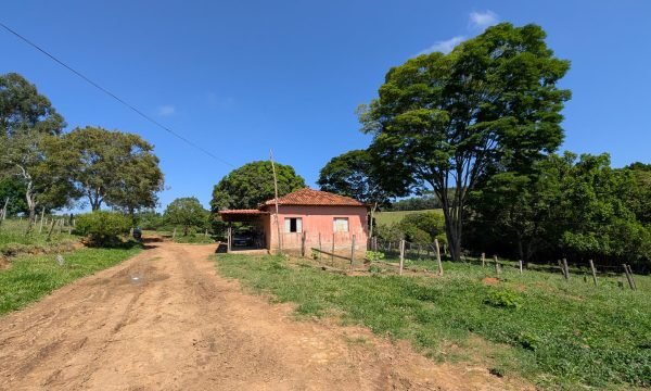 PXL_20261008_122630893.MP