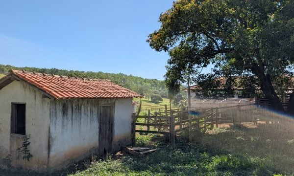 PXL_20261008_122659831.MP