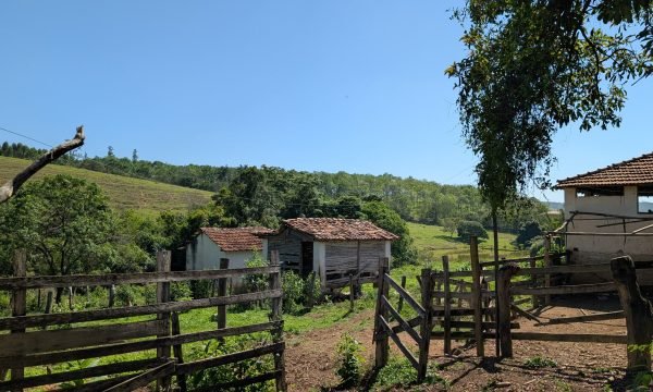 PXL_20261008_122712083.MP