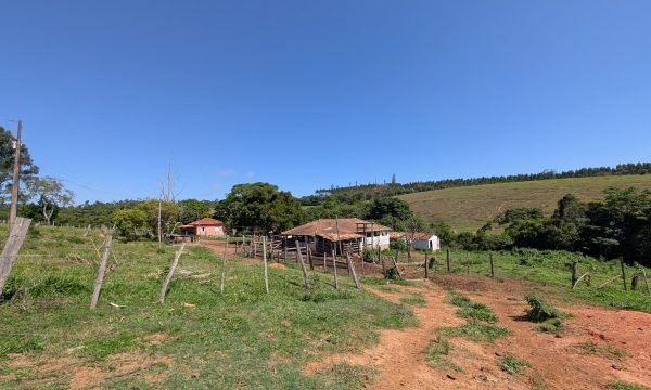 PXL_20261008_123619540.MP