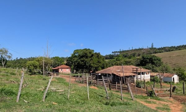 PXL_20261008_123621439.MP