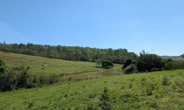 PXL_20261008_123710993.MP
