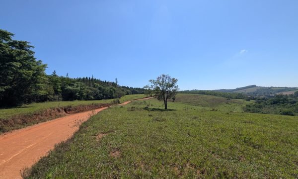 PXL_20261008_125659456.MP