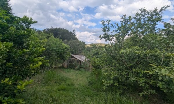 PXL_20261021_181815615