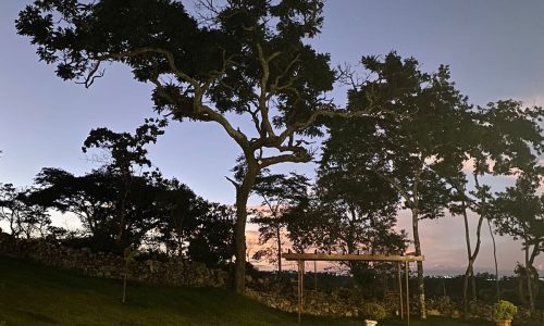 Sítio Alto Das Gamelas (3)