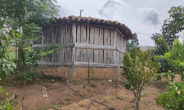 Sítio Mêrces (14)