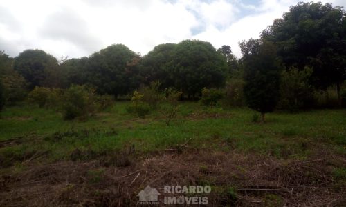 Terreno 2.300 m² (1)