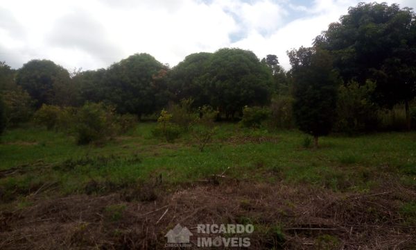 Terreno 2.300 m² (1)