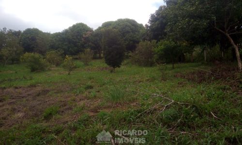 Terreno 2.300 m² (3)