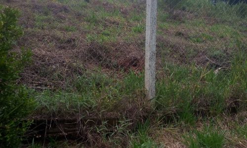 Terreno 2.300 m² (4)