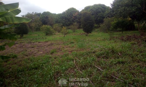 Terreno 2.300 m² (5)
