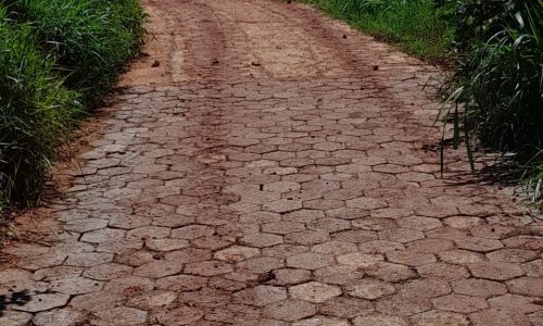 Terreno 2.300 m² (6)