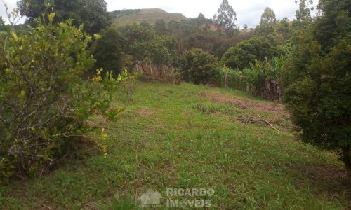 Terreno 2.300 m² (7)