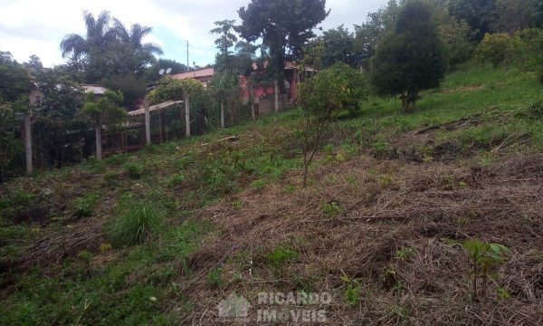 Terreno 2.300 m² (8)