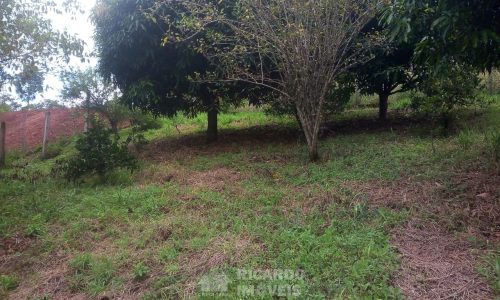 Terreno 2.300 m² (9)