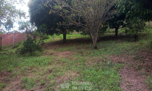 Terreno 2.300 m² (9)
