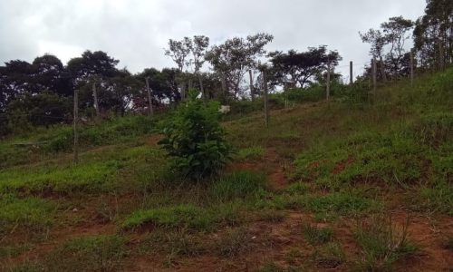 Terreno 3 km, 2 ha (13)