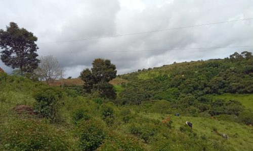 Terreno 3 km, 2 ha (18)