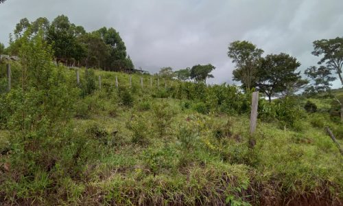 Terreno 3 km, 2 ha (27)