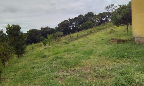 Terreno 3 km, 2 ha (30)