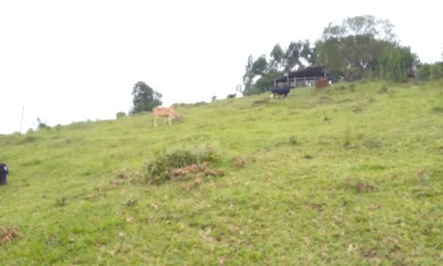 Terreno 3 km, 2 ha (33)