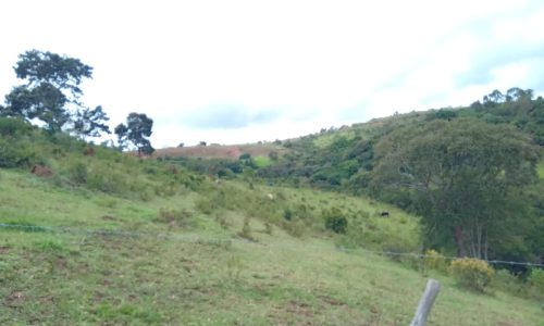 Terreno 3 km, 2 ha (34)