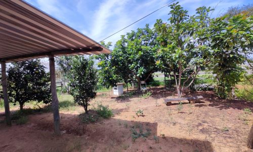 Terreno Fundo da Mata 19 ha (1)