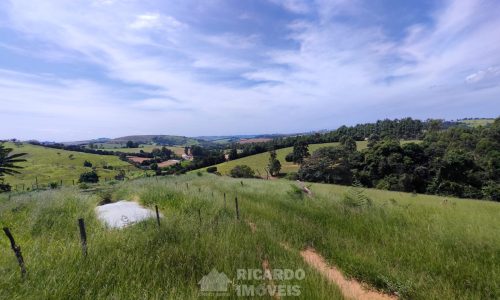 Terreno Fundo da Mata 19 ha (12)