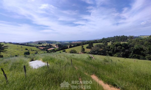 Terreno Fundo da Mata 19 ha (12)
