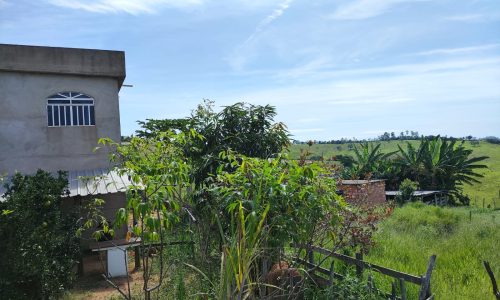 Terreno Fundo da Mata 19 ha (13)