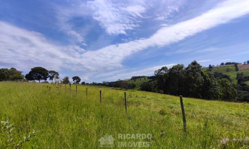 Terreno Fundo da Mata 19 ha (14)