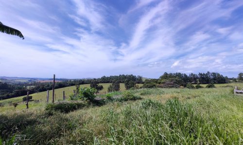 Terreno Fundo da Mata 19 ha (15)