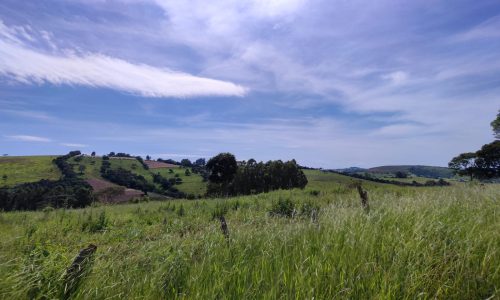 Terreno Fundo da Mata 19 ha (16)