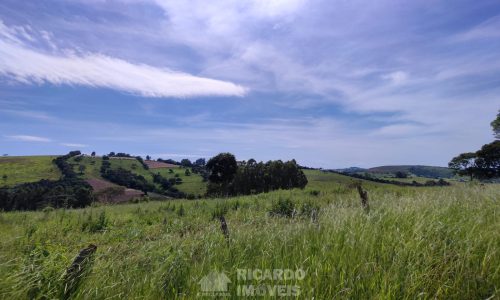 Terreno Fundo da Mata 19 ha (16)