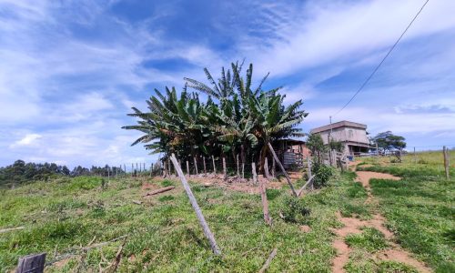 Terreno Fundo da Mata 19 ha (17)