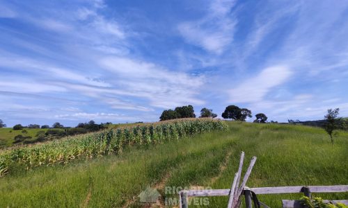 Terreno Fundo da Mata 19 ha (18)