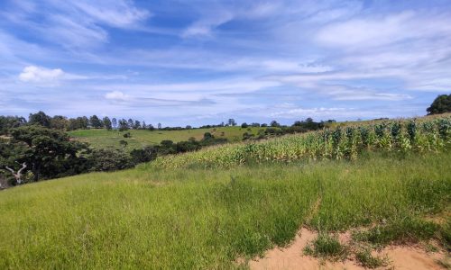 Terreno Fundo da Mata 19 ha (19)