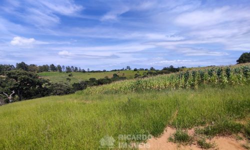 Terreno Fundo da Mata 19 ha (19)