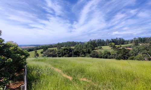 Terreno Fundo da Mata 19 ha (20)