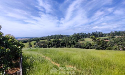 Terreno Fundo da Mata 19 ha (20)