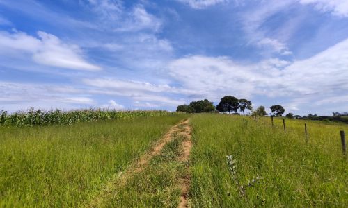Terreno Fundo da Mata 19 ha (23)