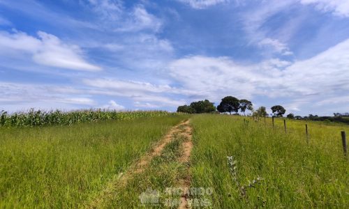 Terreno Fundo da Mata 19 ha (23)