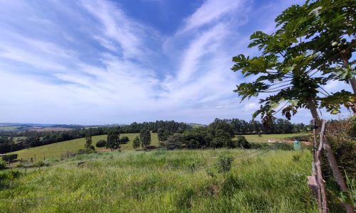 Terreno Fundo da Mata 19 ha (25)