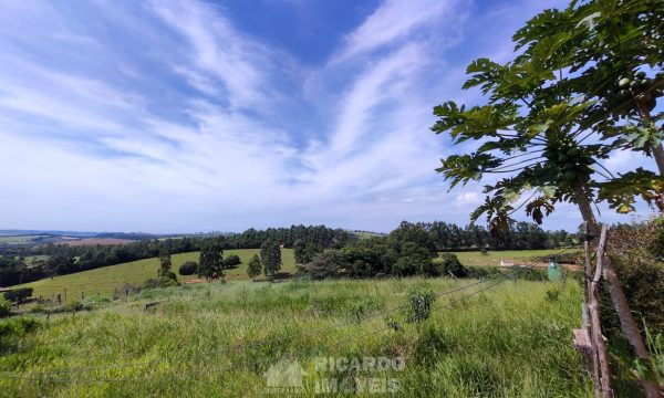 Terreno Fundo da Mata 19 ha (25)