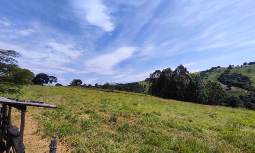 Terreno Fundo da Mata 19 ha (26)