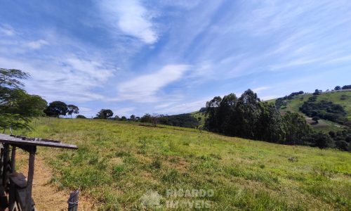 Terreno Fundo da Mata 19 ha (26)