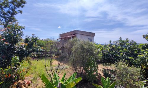 Terreno Fundo da Mata 19 ha (27)