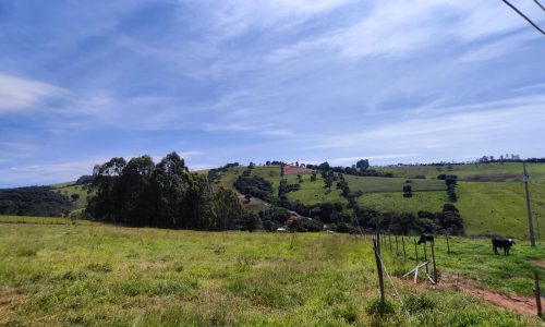 Terreno Fundo da Mata 19 ha (28)